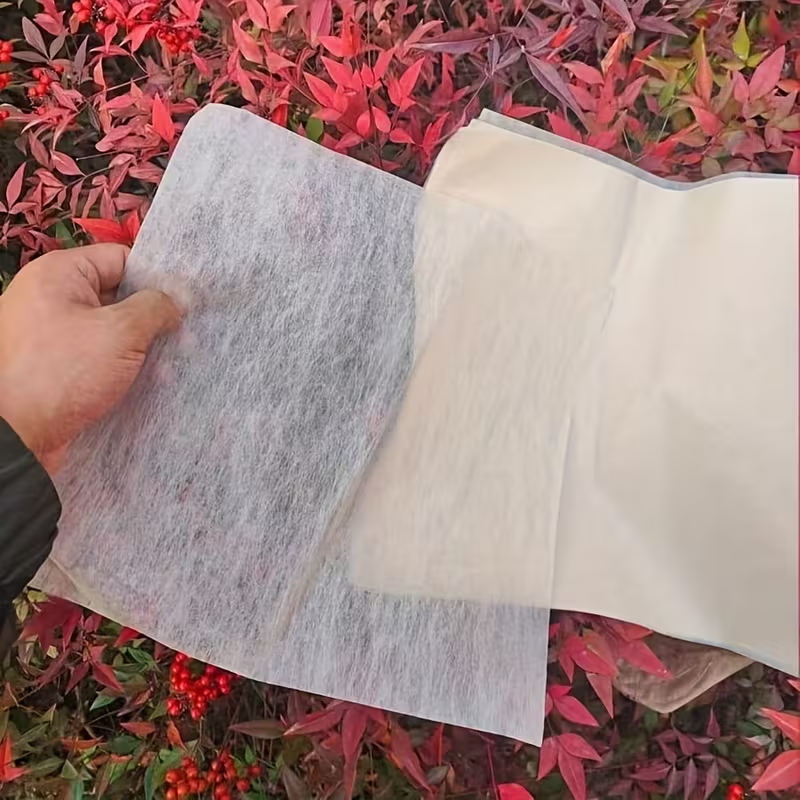Set Papel Leche